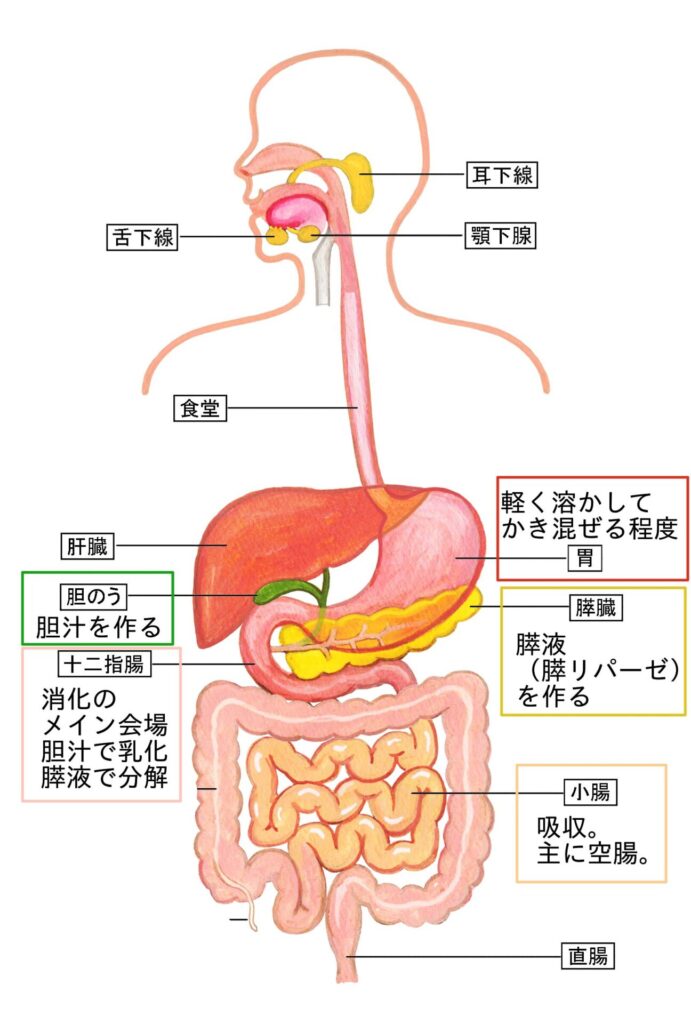 RESTA　沼田　パーソナルジム
