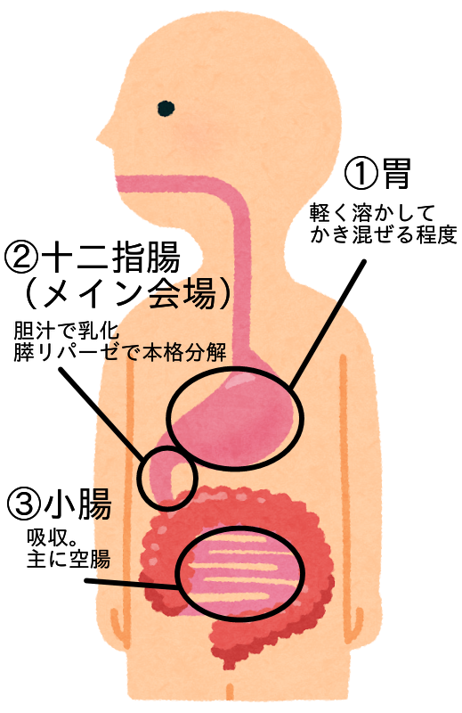 RESTA　沼田　パーソナルジム