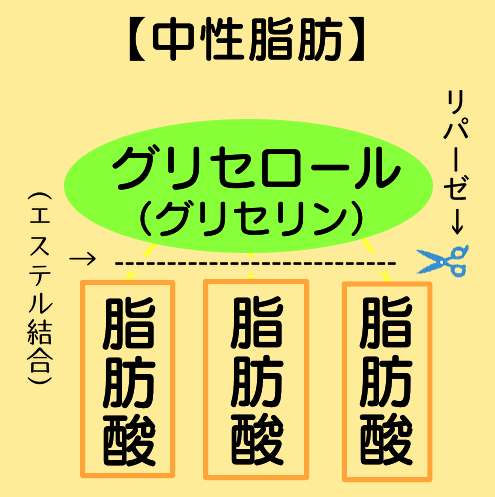 RESTA　沼田　パーソナルジム