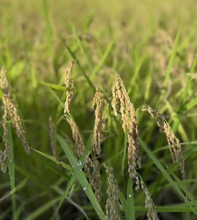 パーソナル　RESTA　沼田市